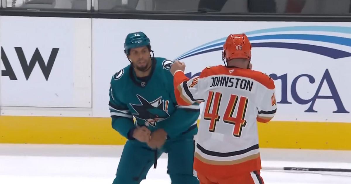 Ryan Reaves-vs-Ross Johnston