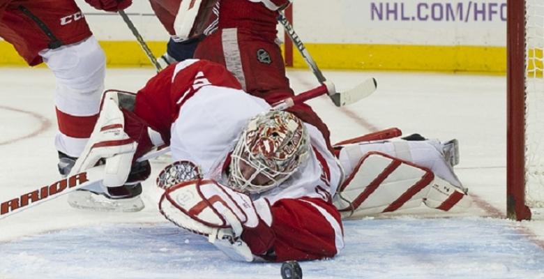 Injury update: Bad news for Red Wings goalie