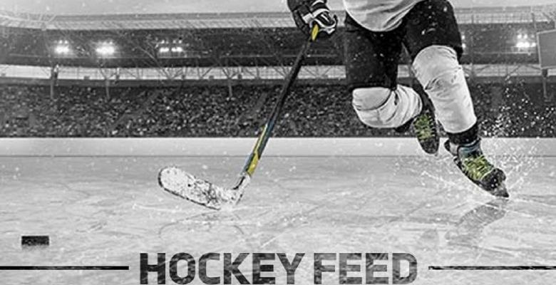 Crosby ends his scoring drought and ties the series in overtime!