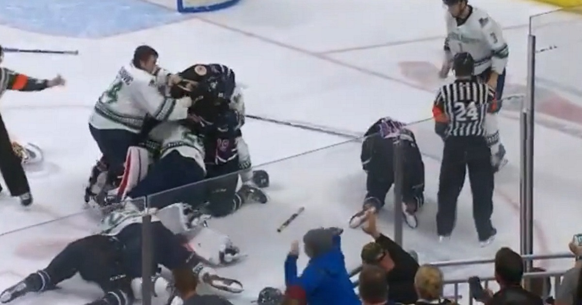 Playoff game ends in a line brawl and even the two goalies get involved!