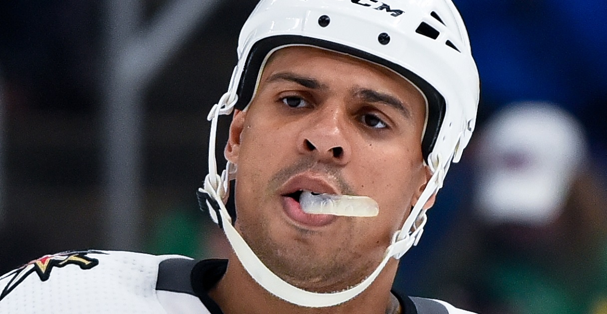 Ryan Reaves snaps in Game 1, cross checks the goalie and drops his knee on the head of Ryan Graves.