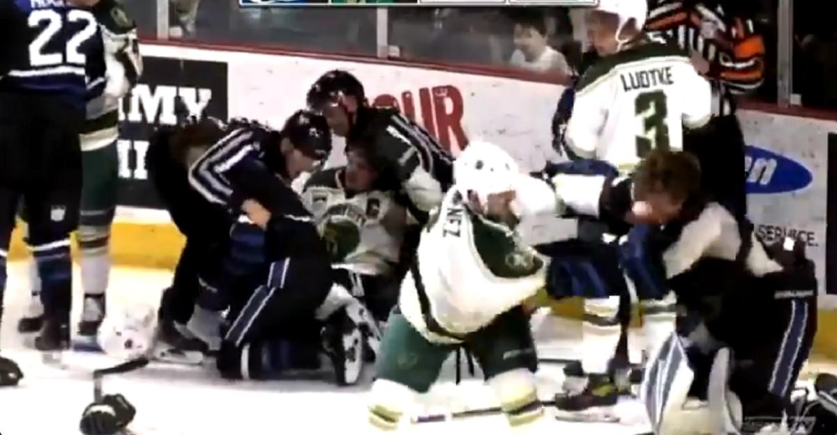 USHL game turns into pure chaos as wild brawl erupts on the ice.