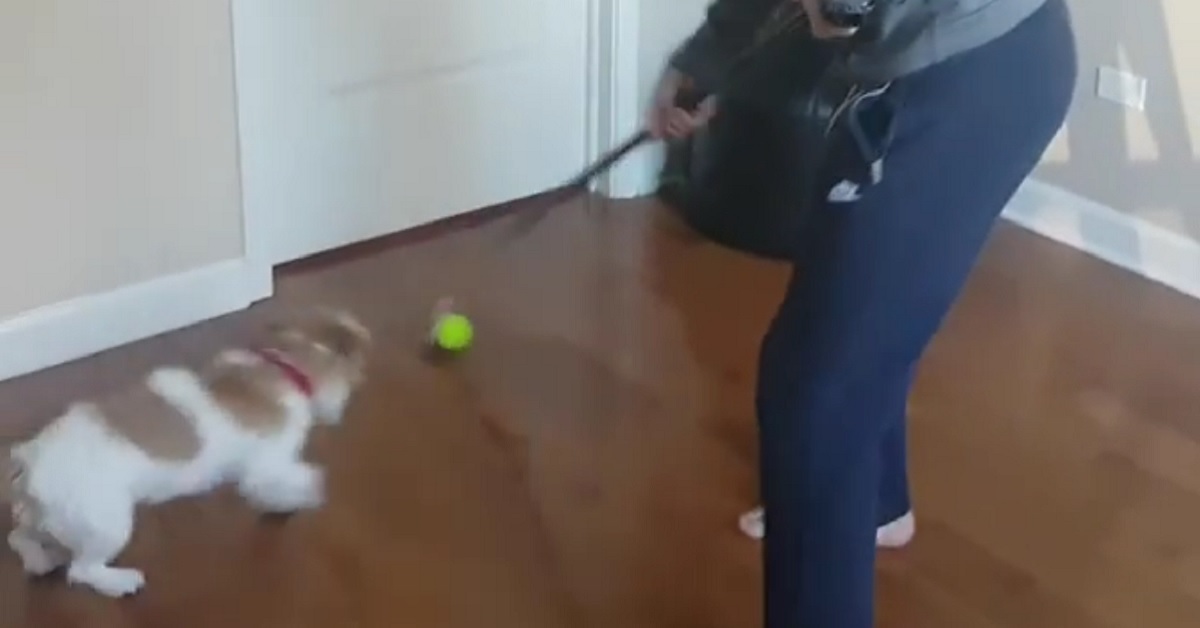 Artemi Panarin has found the cutest way to practice stick handling.