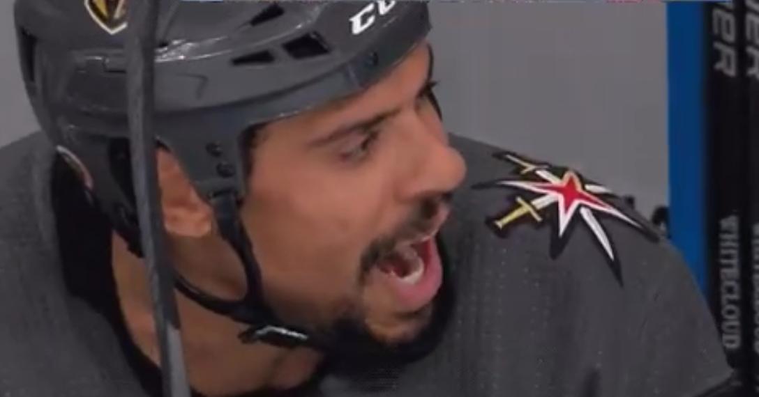 Ryan Reaves taunts the Vancouver Canucks bench in Game 1.